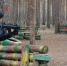 В Россоши пройдут военно-спортивные соревнования за переходящее Знамя Победы - РИА Воронеж