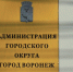 Определен первый общественный советник мэра Воронежа - РИА Воронеж