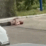 Мужчина с оголенным торсом устроил летний чилл на асфальте в Воронеже - Bloknot-Voronezh.Ru