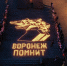 «Единая Россия», «Молодая Гвардия» и «Волонтеры Победы» провели в Воронежа акцию «Огненные картины войны» - Единая Россия