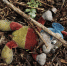 Воронежец пошел под суд за участие в похищении и продаже детей - РИА Воронеж