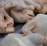 Воронежские компании заподозрили в сговоре при поставке продуктов в социальные учреждения - РИА Воронеж