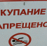 Под Воронежем приостановили работу двух пляжей - Городская справка 077
