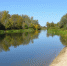 В Воронежской области водолазы нашли тело мальчика, утонувшего в реке - Voronezh.Sm.News
