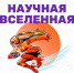 Открыта регистрация для участия в конкурсе «Научная вселенная» - ВГЛТУ