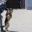 Фальшивомонетчик из Дагестана попался воронежским силовикам во время эксперимента - Bloknot-Voronezh.Ru