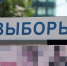 Сколько воронежцев хотят голосовать на выборах губернатора дистанционно - Bloknot-Voronezh.Ru