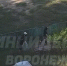 Толпа подростков жестоко избила мужчину в Северном лесу Воронежа - Обозреватель.Врн