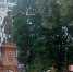 Новости - Городская Дума