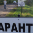 В Воронежской области обнаружили ещё два очага сибирской язвы - ГТРК Воронеж