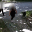 В Воронеже задержали воровок, проникавших в квартиры стариков под видом работниц соцслужбы - ГТРК Воронеж