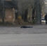 В Воронеже возле магазина умер мужчина - ГТРК Воронеж