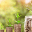 В дни ноябрьских распродаж траты россиян выросли на 13% - МОЁ! Online