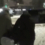 Агента спецслужб Украины задержали в Воронеже за подготовку убийства офицера - РИА Воронеж