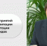 О внедрении единой цифровой платформы в социальной сфере - МОЁ! Online
