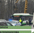 Шестьдесят деревьев начнут рубить сегодня на одной из воронежских улиц - Bloknot-Voronezh.Ru