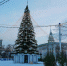 В Воронеже приготовят 100-метровый «Чернозем» - VrnTimes.Ru