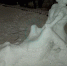 Акт любви из «Камасутры» слепили и показали на фото в Воронеже - Bloknot-Voronezh.Ru