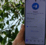 Виртуальные SIM-карты начали продавать воронежцам в Telegram - Bloknot-Voronezh.Ru