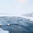 Труп пожилого мужчины нашли в воронежской реке - ГТРК Воронеж
