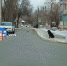 Душещипательную историю рассказали жителям Воронежа - Bloknot-Voronezh.Ru