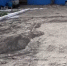 Воронежцев смывает водой, но чиновники не спешат их спасать - Bloknot-Voronezh.Ru