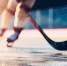 Воронежский «‎Буран»‎ попал под проверку из-за выброшенной на лёд игрушки - ГТРК Воронеж