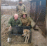 Воронежский зоопарк приютил спасённых из зоны СВО волчицу и енотовидных собак - ГТРК Воронеж