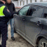 В Нововоронеже задержали водителя Pontiac Vibe со 131 неоплаченным штрафом - Обозреватель.Врн