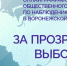В этом году впервые был проведен онлайн-марафон общественного штаба по наблюдению за выборами в Воронежской области «За прозрачные выборы». - Общественная палата