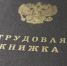 Безработные воронежцы могут бесплатно пройти переобучение по одной из 49 профессий - РИА Воронеж