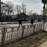 «Неразумное решение»: на ликвидацию остановки пожаловался воронежец - Bloknot-Voronezh.Ru