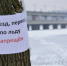 В Воронеже 71-летний рыбак провалился под лед водохранилища и погиб - РИА Воронеж