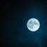 Фото: pxhere.com - МОЁ! Online