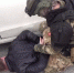Банда теневых банкиров обналичила свыше 400 млн рублей в Воронеже - Bloknot-Voronezh.Ru