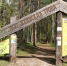 Экотропа Воронежского заповедника вновь доступна для посещения - РИА Воронеж