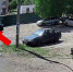 Иномарка сбила мопса на глазах у хозяйки во дворе многоэтажки в Воронеже (ВИДЕО) - TV-Gubernia.Ru