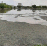 ЛОС выплатят 5,8 млрд рублей за ущерб Воронежскому водохранилищу - РИА Воронеж