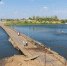 Мост через Усманку частично перекроют в Воронежской области - Bloknot-Voronezh.Ru