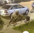 В Воронеже лежащего на лавке  человека избил мужчина в военной форме под камерами - ВестиПК в Воронеже