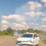 Пьяный дальнобойщик устроил стрельбу в Воронежской области и пытался скрыться - TV-Gubernia.Ru