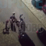 Драма в двух актах: ночные разборки на кулаках попали на видео в Воронеже - Bloknot-Voronezh.Ru