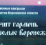 И вновь звучит гармонь… - Центр народного творчества и кино