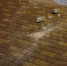 Главное за ночь. Сброшенный с балкона воронежской многоэтажки кирпич едва не пробил голову 4-летнему ребёнку - МОЁ! Online