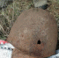 Воронежские поисковики нашли останки красноармейца - РИА Воронеж