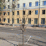Воронежцев встревожило состояние новых деревьев в городе - ГТРК Воронеж