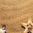 Сколько стоит отдохнуть в Сочи в 2024 году - МОЁ! Online