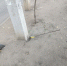 Торчащие штыри возле детской площадки пугают воронежцев - Bloknot-Voronezh.Ru