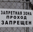 Следственный отдел УФСБ по Воронежской области возбудил несколько дел в отношении воронежца, действовавшего по заданию украинских кураторов - Voronezh.Sm.News