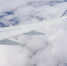 Фото: freepik.com - МОЁ! Online